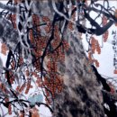 이구상사 - 이천시 | 이구상사