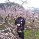 미리내천주성삼성직수도회