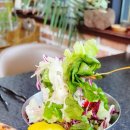 소나무정원 | 제천 청풍호 근처 화덕피자 소나무정원, 샐러드 푸짐해서 너무 좋다