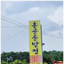 홍골 | [강원 춘천] 들기름 향 가득 콩나물 아삭한두부전골 - 홍골솔밭집.