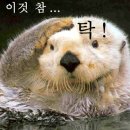게이트연구소