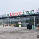 만세약국 이미지