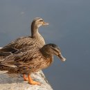 허한의원 이미지