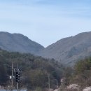 부귀면사무소 이미지