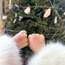 한타 부산판매 | 2025 부산 크리스마스빌리지 주말 방문후기 주차 패스트트랙