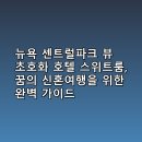 뉴욕 센트럴파크 뷰 초호화 호텔 스위트룸, 꿈의 신혼여행을 위한 완벽 가이드