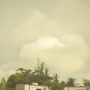 스테이 시골 이미지