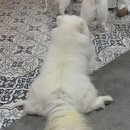 겨울이 머무는 집 이미지