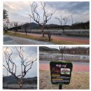 기성초구산분교장 이미지