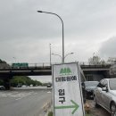 대림원예종묘 후기, 레이니블루 장미 외목대, 캥거루발톱, 어버이날 선물