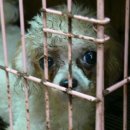 금치농장 이미지