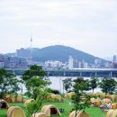 오투스토리 캠핑장 이미지