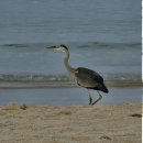 애리세탁소 | 거꾸로 가는 여행기 / 10.20-