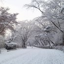 남산 산책로 이미지