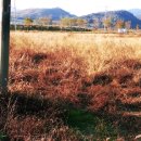 문평면사무소 이미지