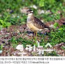 김신환동물병원 이미지