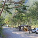 정원캠핑장 이미지