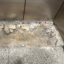 청아람 | 대구 달성군 엘리베이터보양 승강기보양 죽곡청아람 시공 후기 | 보양의신