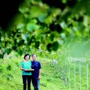 샘말농장 이미지