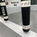 블랙리스트 MMA 이미지