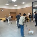 정직한교육 이미지