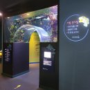 백수중국관 | #1 방학에 뭐했어 (국립중앙박물관, 다누리아쿠아리움, 충북아쿠아리움, 천연기념물센터)