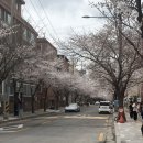희우정로 31 네이버블로그