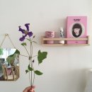 (주) 봉봉 이미지