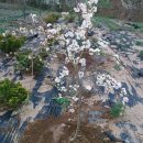 안동농원 이미지