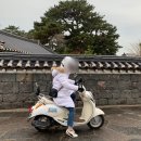 제주는스쿠터다2