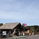 27 | 제주도 동물원 아기랑가볼만한곳 애월 새별프렌즈 27개월 아기 먹이주기 체험 후기
