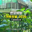텃밭 - 서구 가정로380번길 4-1 | [공지] 이문어린이도서관 <가족 텃밭> 프로그램 참여 후기｜신청 방법부터 현장 분위기까지