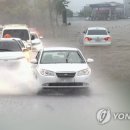 양재천로 이미지