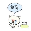 양푼이김치찜