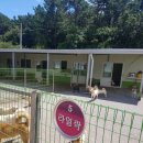 천사의집 이미지