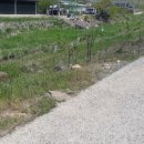 게이트볼장 옆 이미지