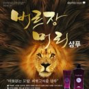 버르장머리헤어 - 마포구 효창원로95길 4 | 버르장머리헤어