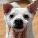 놀러와호성점 | 아니 여름아 오지마