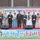 삼척시 문화예술회관 광장 이미지