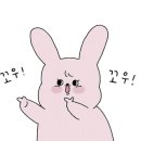 세븐일레븐 춘천퇴계점 이미지