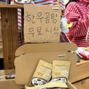 멍멍하누 이미지