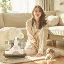 다림사세탁소 | 디클 원샷클린 청소기｜쇼파·카페트·매트리스 물흡입 사용후기 총정리