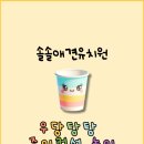 솔솔애견유치원 이미지