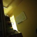 지유엔모터스 이미지