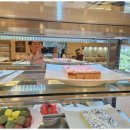 샤브앤샤브 이미지