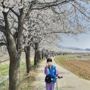 평화를품은책방 이미지