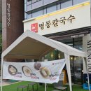 명동왕만두 | 마곡역 칼국수 땡길 때 가는 곳, 명동칼국수와 왕만두 후기