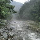 해나루 산악회 8월 정기산행(인제 아침가리골 계곡트레킹) 이미지