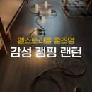 [캠핑 랜턴] 엘스토리몰 LED 파티라이트 줄조명 구매후기