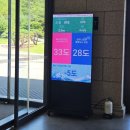 한국더마힐스 | 여름 휴가철 마우나오션 cc 블루오션코스 후기